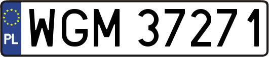 WGM37271