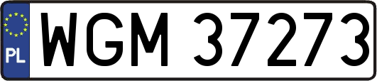 WGM37273