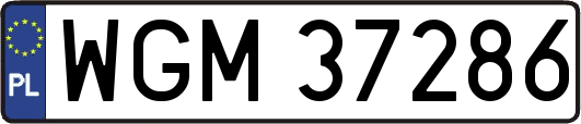 WGM37286