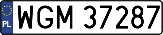 WGM37287