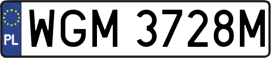 WGM3728M