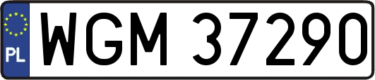 WGM37290