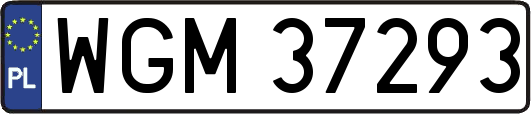 WGM37293