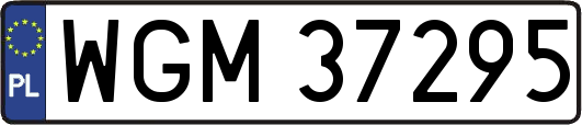 WGM37295
