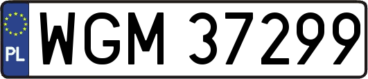 WGM37299