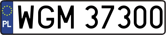 WGM37300