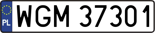 WGM37301