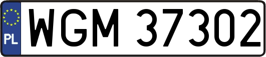 WGM37302