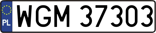 WGM37303