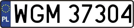 WGM37304