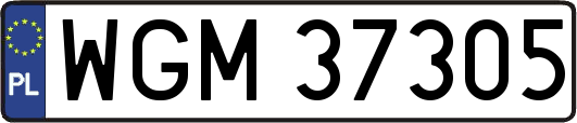 WGM37305