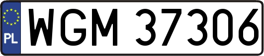 WGM37306