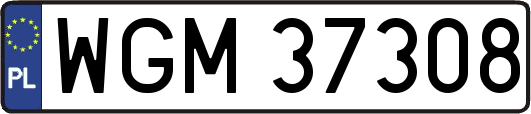 WGM37308