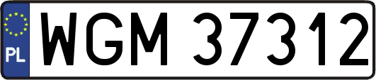 WGM37312