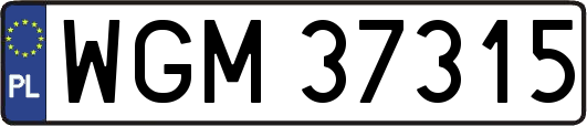 WGM37315