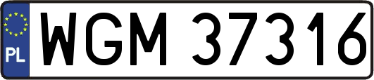WGM37316