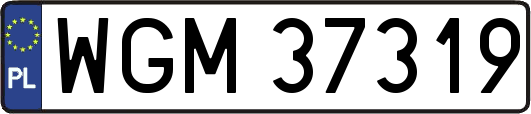 WGM37319