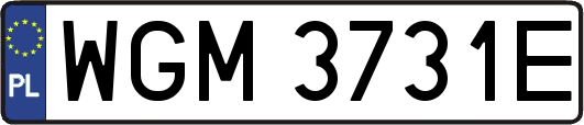 WGM3731E