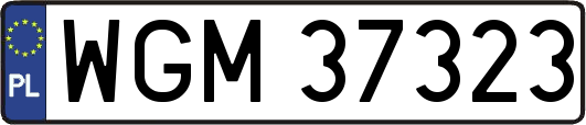 WGM37323