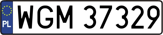 WGM37329