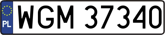 WGM37340