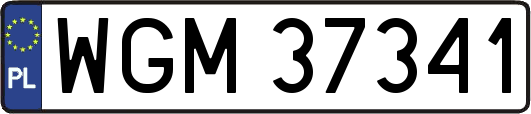 WGM37341