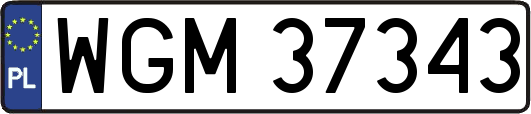 WGM37343