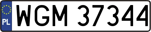 WGM37344
