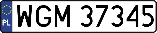 WGM37345