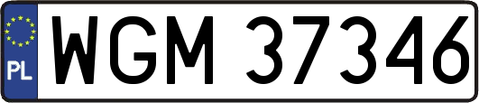 WGM37346