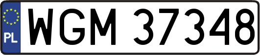 WGM37348