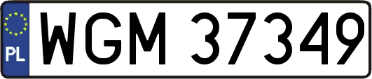WGM37349