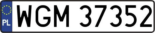 WGM37352