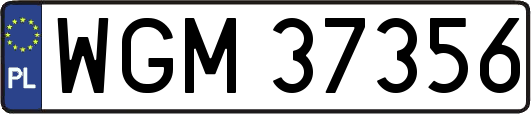 WGM37356