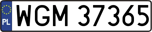 WGM37365