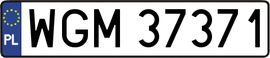 WGM37371