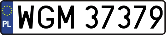 WGM37379