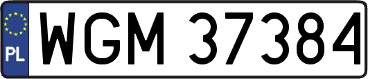 WGM37384
