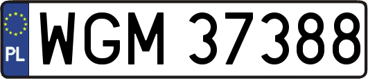 WGM37388
