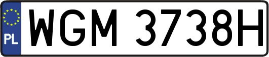 WGM3738H