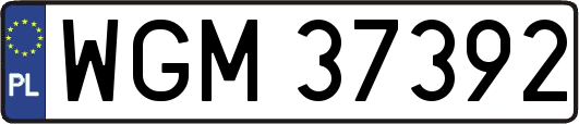 WGM37392