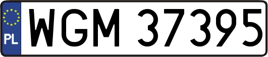 WGM37395