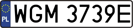 WGM3739E