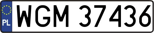 WGM37436
