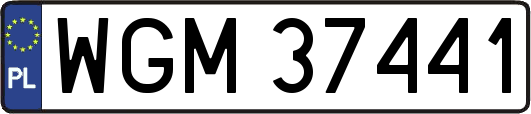 WGM37441