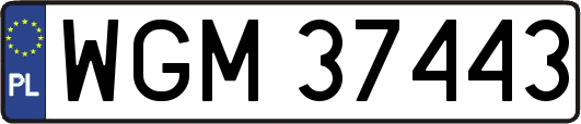 WGM37443