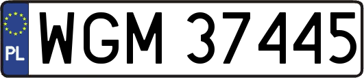 WGM37445