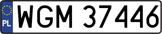 WGM37446