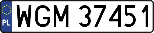 WGM37451