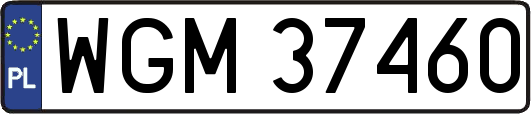 WGM37460